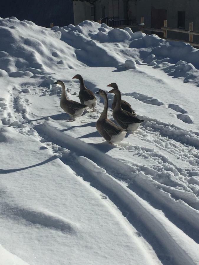 Relax Holiday Sestriere Bagian luar foto